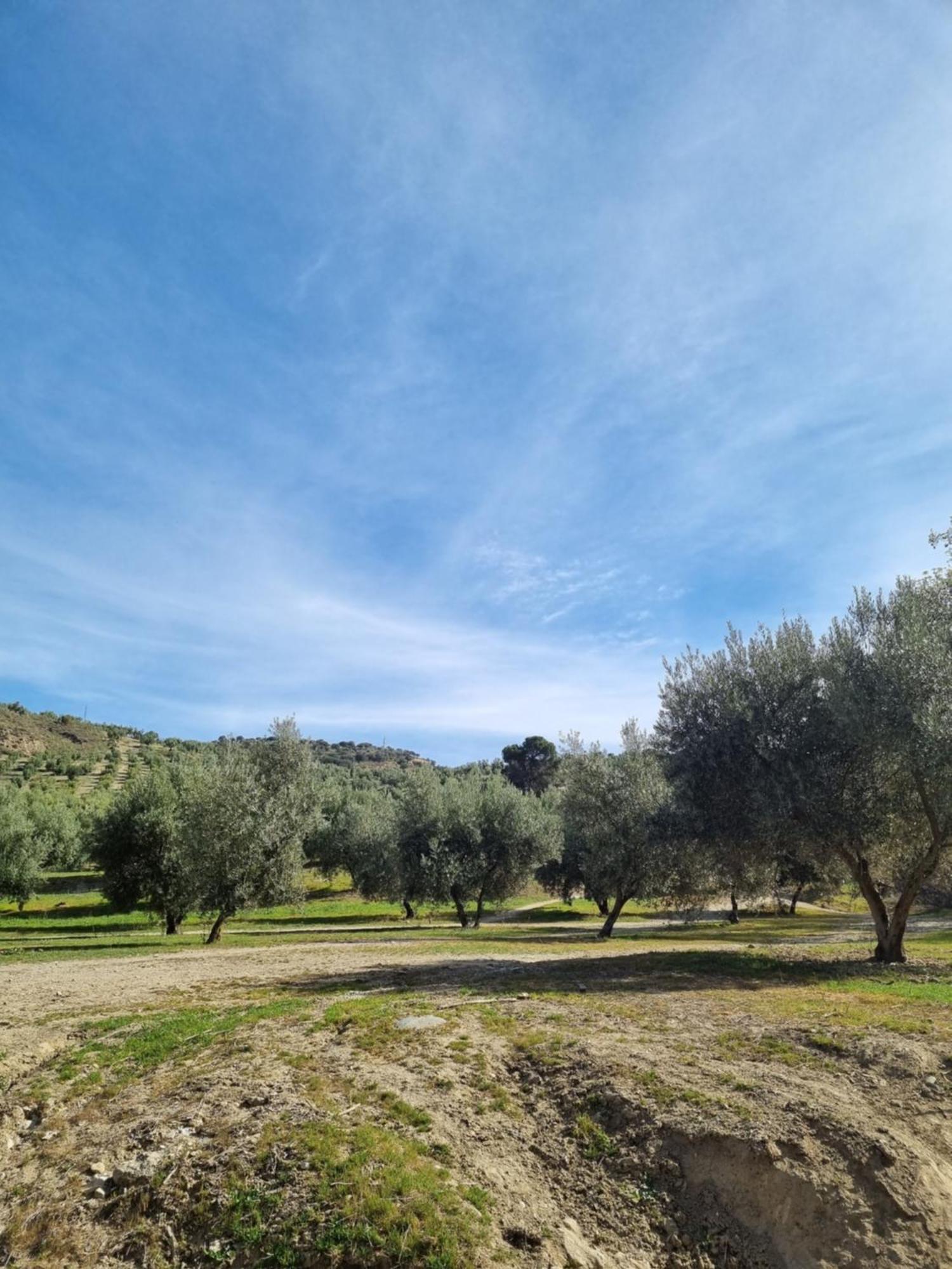 La Colina Ladyblue Apto Acogedor Cerca De Sierra Nevada Y Alhambra Appartement Cenes De La Vega Buitenkant foto